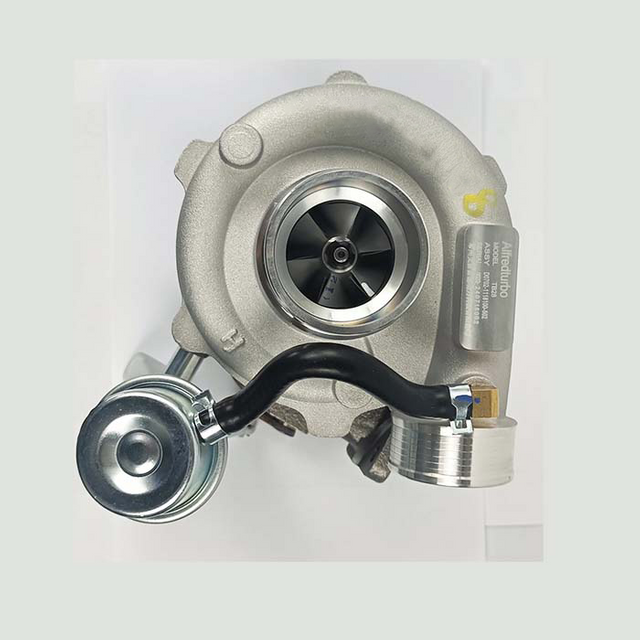 Alfredturbo Turboarger Model TB28 Номер детали D0702-1118100-502 Длинной клапан для Yuchai YC4108ZQ (90 кВт) длинный клапан